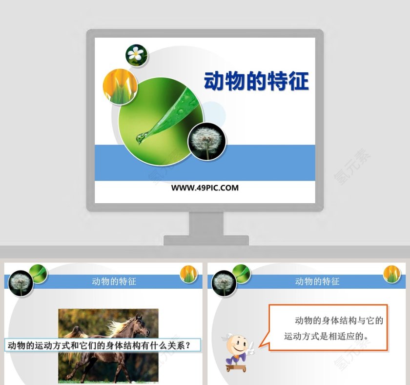 动物的特征教学ppt课件第1张