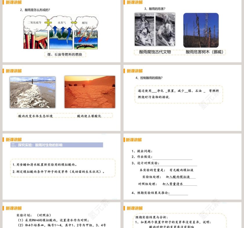 第一节  探究环境污染对生物的影响-第七章  人类活动对生物圈的影响教学ppt课件第2张
