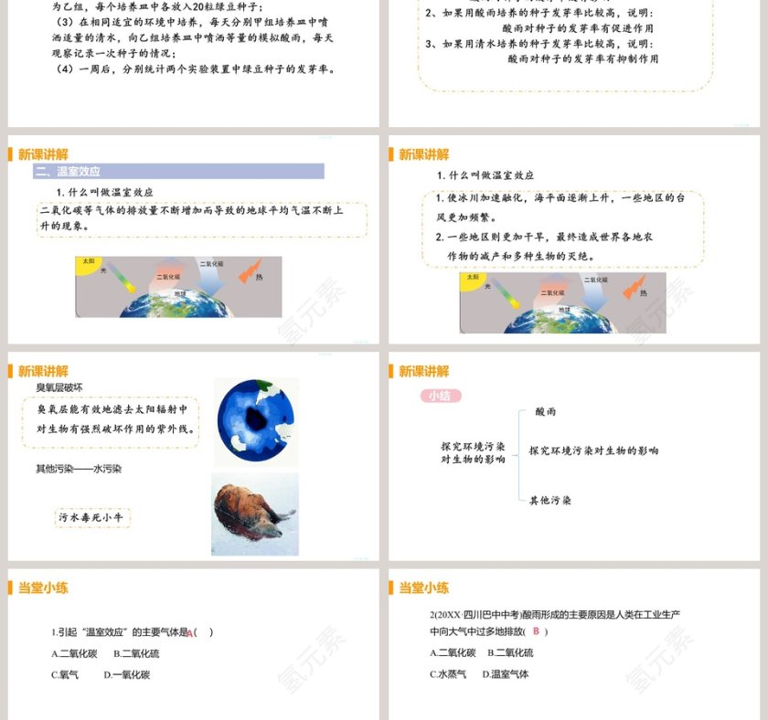 第一节  探究环境污染对生物的影响-第七章  人类活动对生物圈的影响教学ppt课件第3张