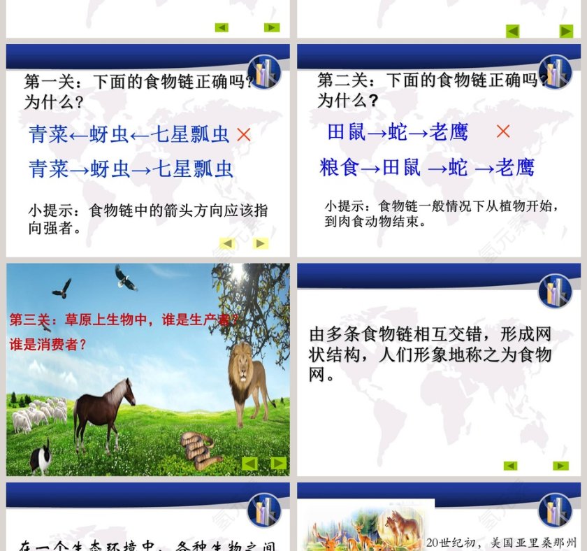 密切联系的生物界-小学四年级科学下册教学ppt课件第2张