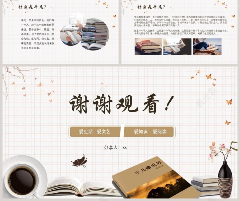 《平凡的世界》PPT第5张