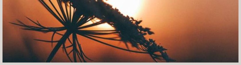 部编版四年级语文下册在天晴了的时候语文课件PPT第5张