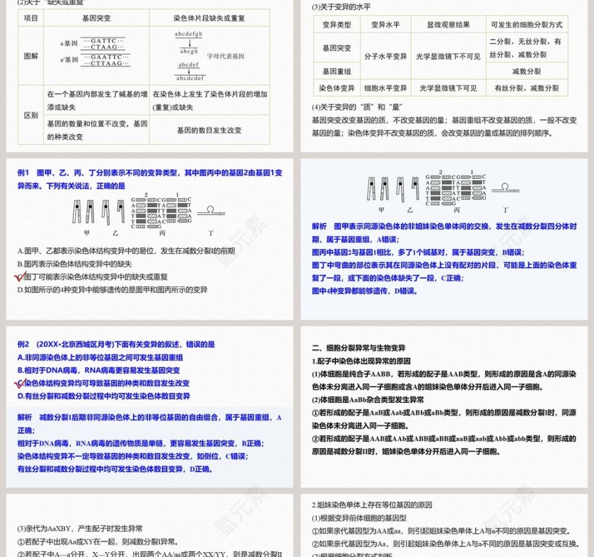第5章基因突变及其他变异-PPT模板第2张