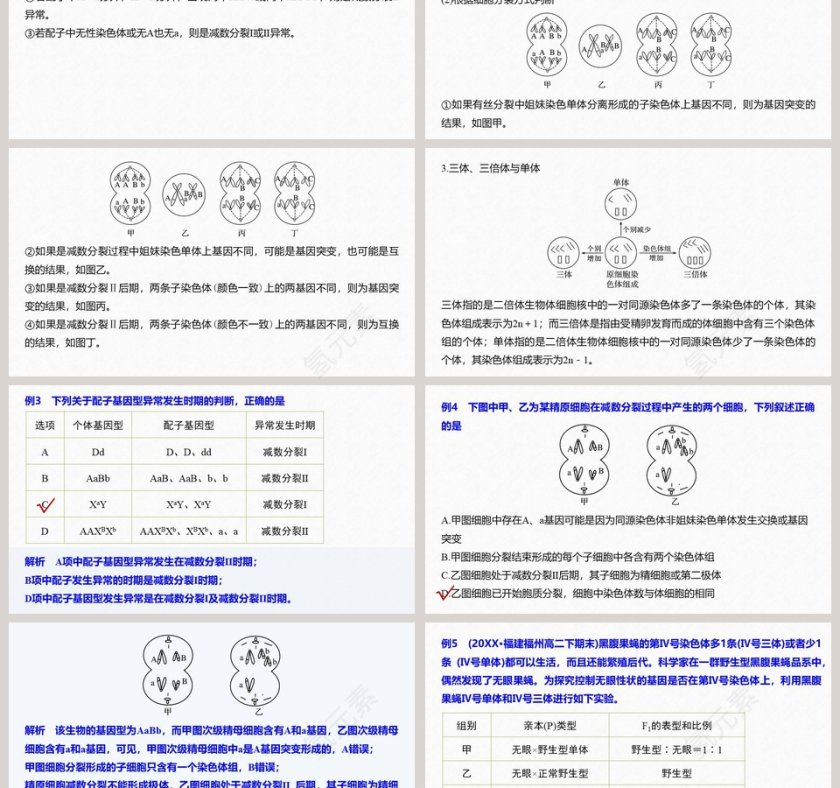 第5章基因突变及其他变异-PPT模板第3张