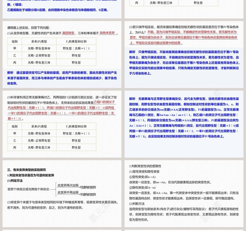 第5章基因突变及其他变异-PPT模板第4张