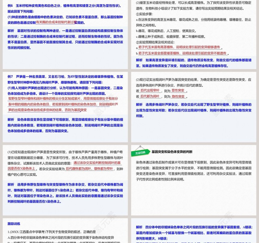 第5章基因突变及其他变异-PPT模板第5张