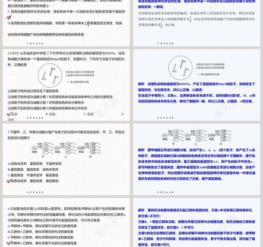 第5章基因突变及其他变异-PPT模板第6张
