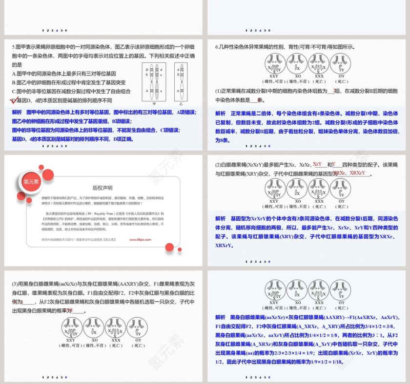 第5章基因突变及其他变异-PPT模板第7张