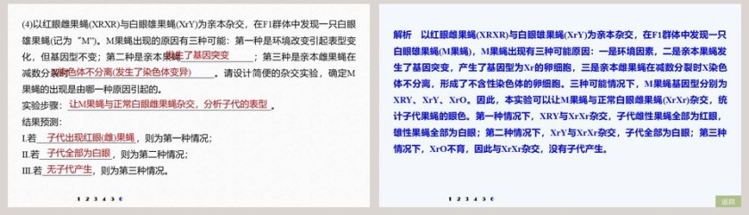 第5章基因突变及其他变异-PPT模板第8张