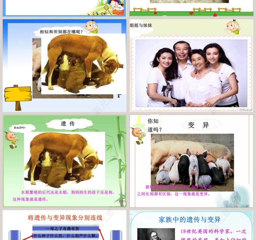 从种瓜得瓜说起教学ppt课件第2张