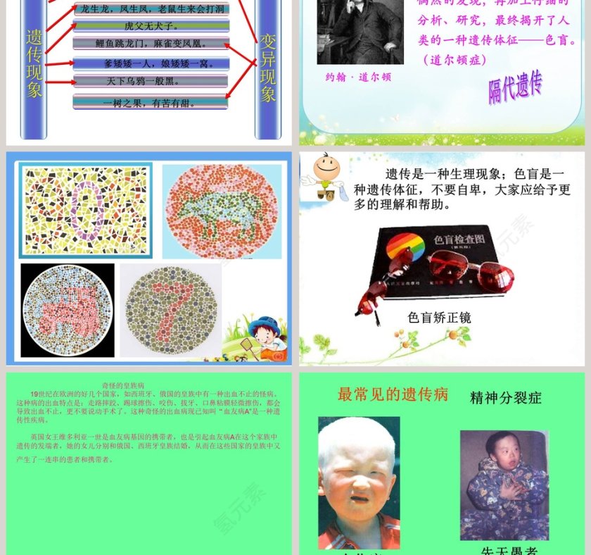 从种瓜得瓜说起教学ppt课件第3张