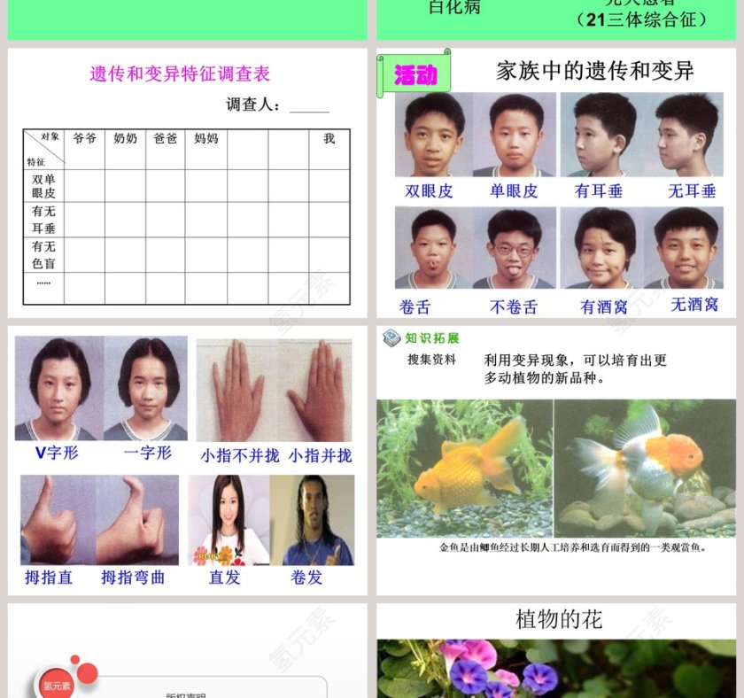 从种瓜得瓜说起教学ppt课件第4张