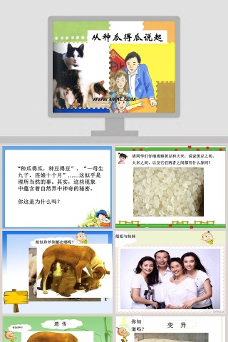 从种瓜得瓜说起教学ppt课件
