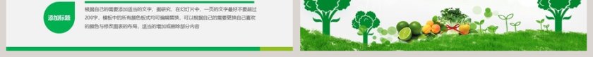 绿色生态农业招商农产品宣传PPT模板第7张