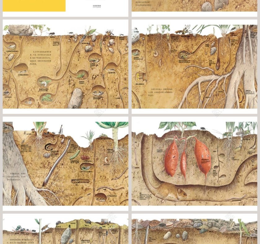 地底下的动物幼儿园绘本教育课件第2张