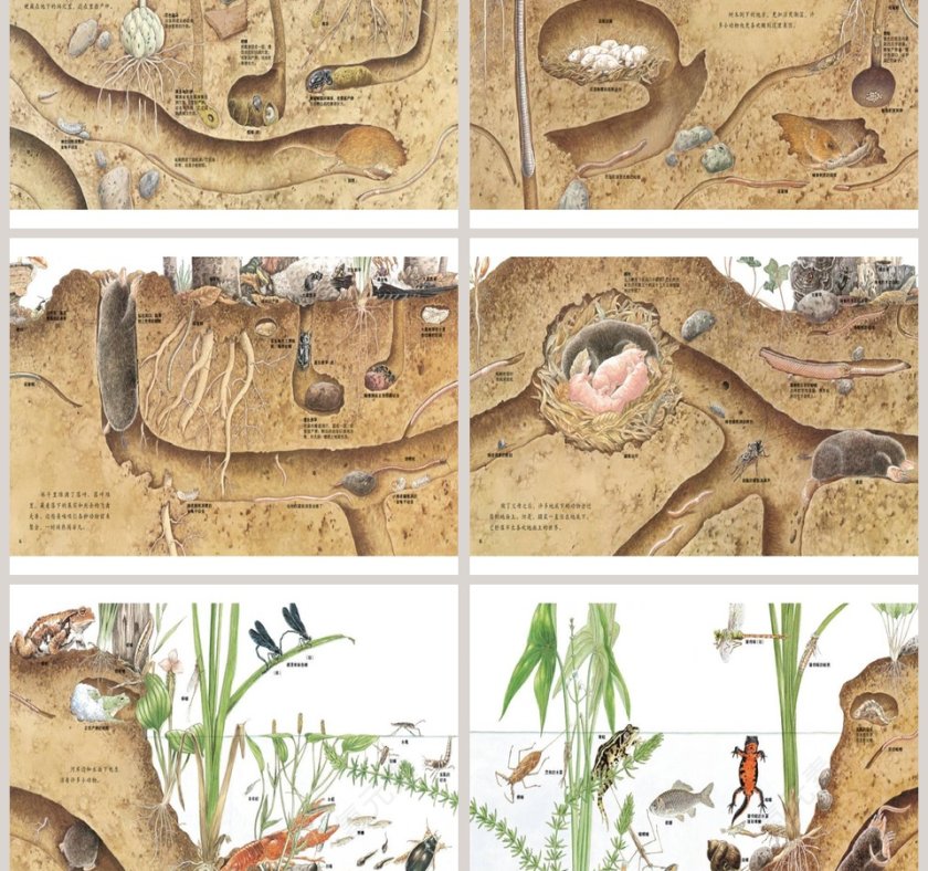 地底下的动物幼儿园绘本教育课件第3张