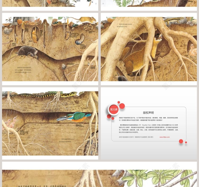地底下的动物幼儿园绘本教育课件第4张