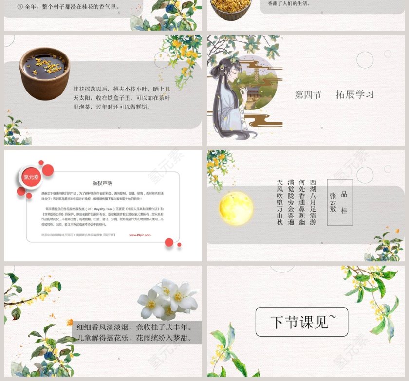 五年级语文课件PPT桂花雨第4张