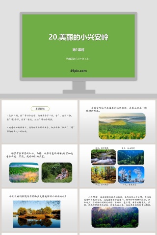 统编版三年级语文上册美丽的小兴安岭语文课件PPT