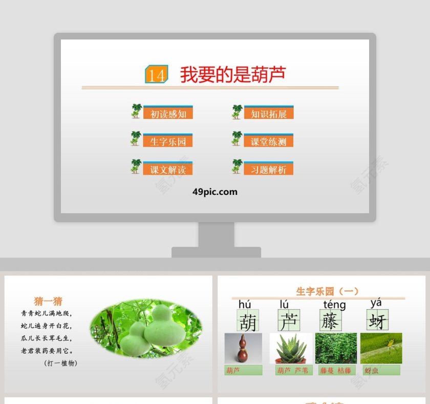 课文解析我要的是葫芦语文课件PPT第1张