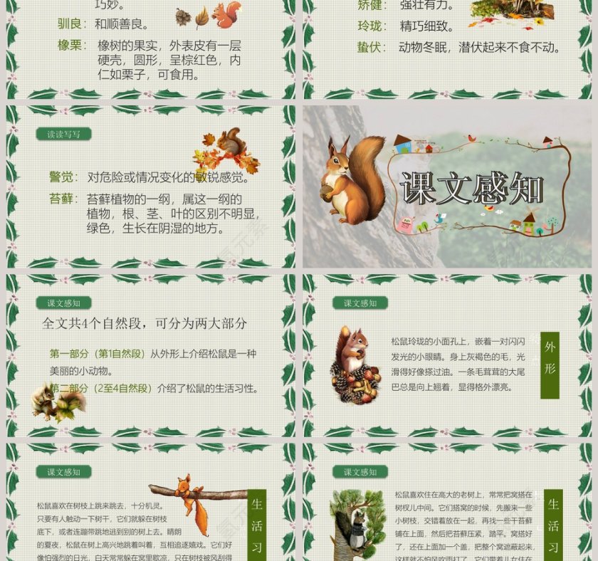 绿色简约清新五年级语文课件《松鼠》PPT 第3张