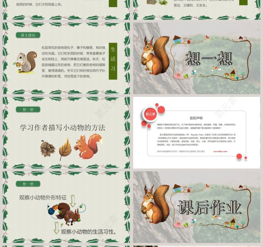 绿色简约清新五年级语文课件《松鼠》PPT 第4张