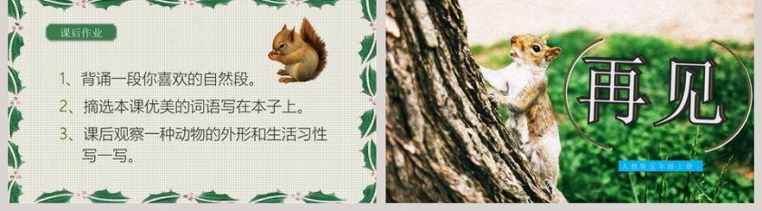 绿色简约清新五年级语文课件《松鼠》PPT 第5张