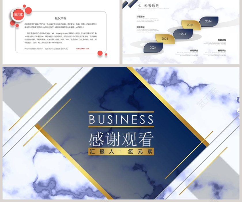 高端精美大气项目介绍PPT模板第5张