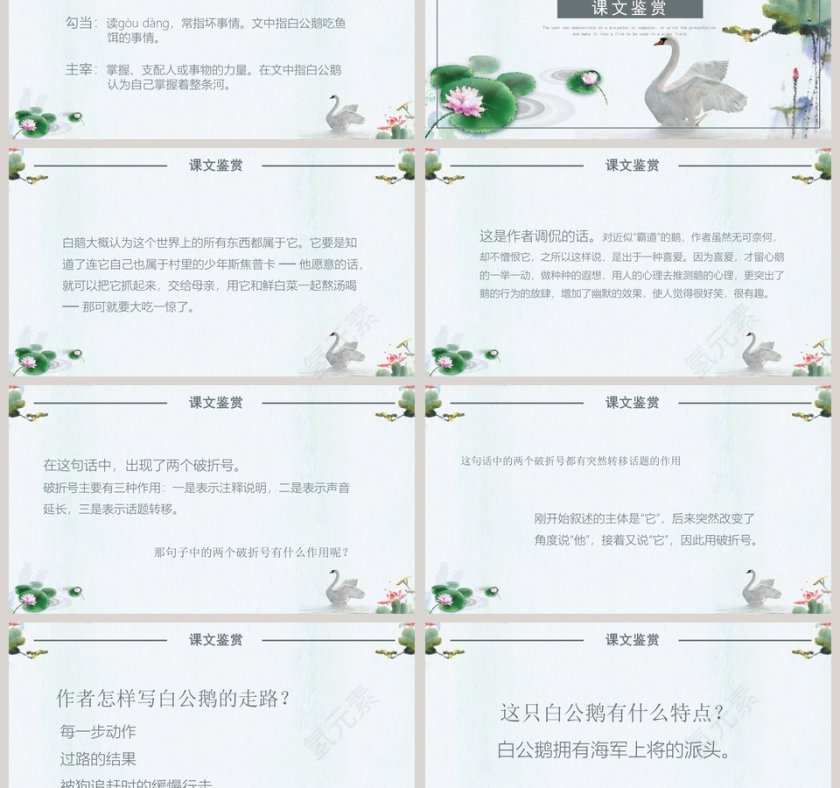四年级语文范本PPT《白公鹅》第3张