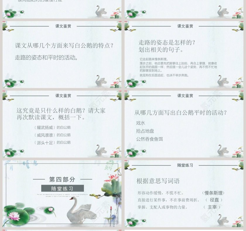 四年级语文范本PPT《白公鹅》第4张