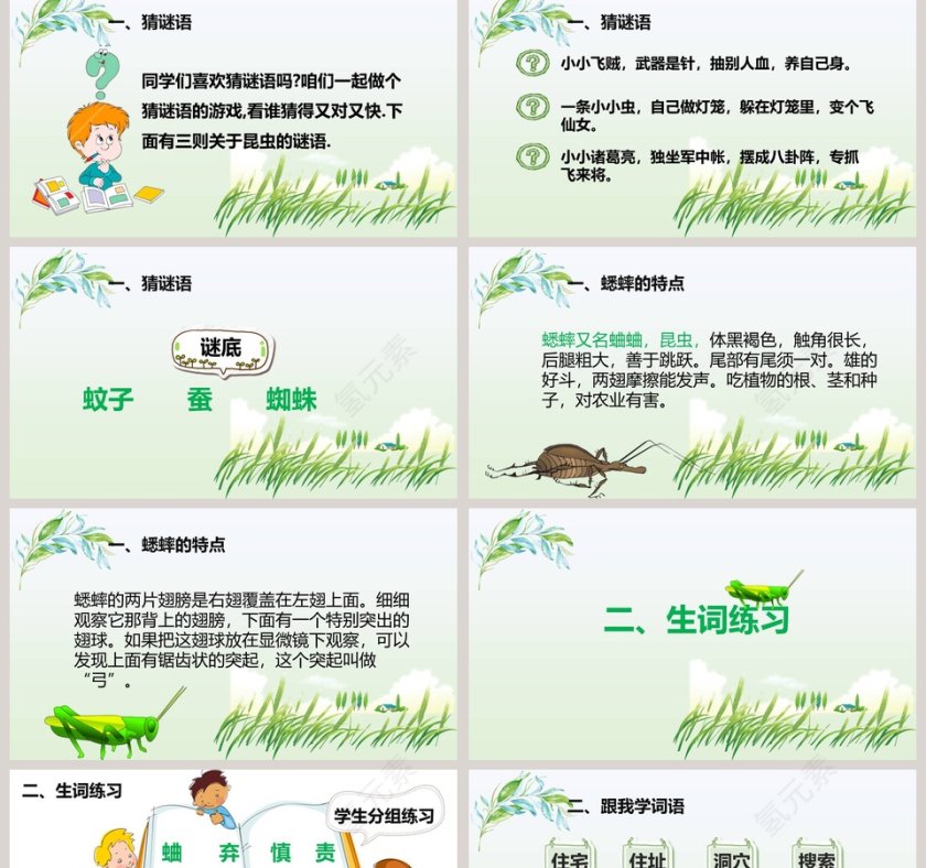 课文解析蟋蟀的住宅语文课件PPT第2张