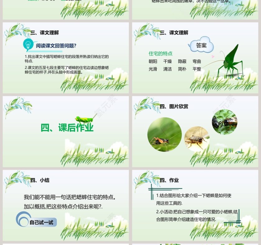 课文解析蟋蟀的住宅语文课件PPT第4张
