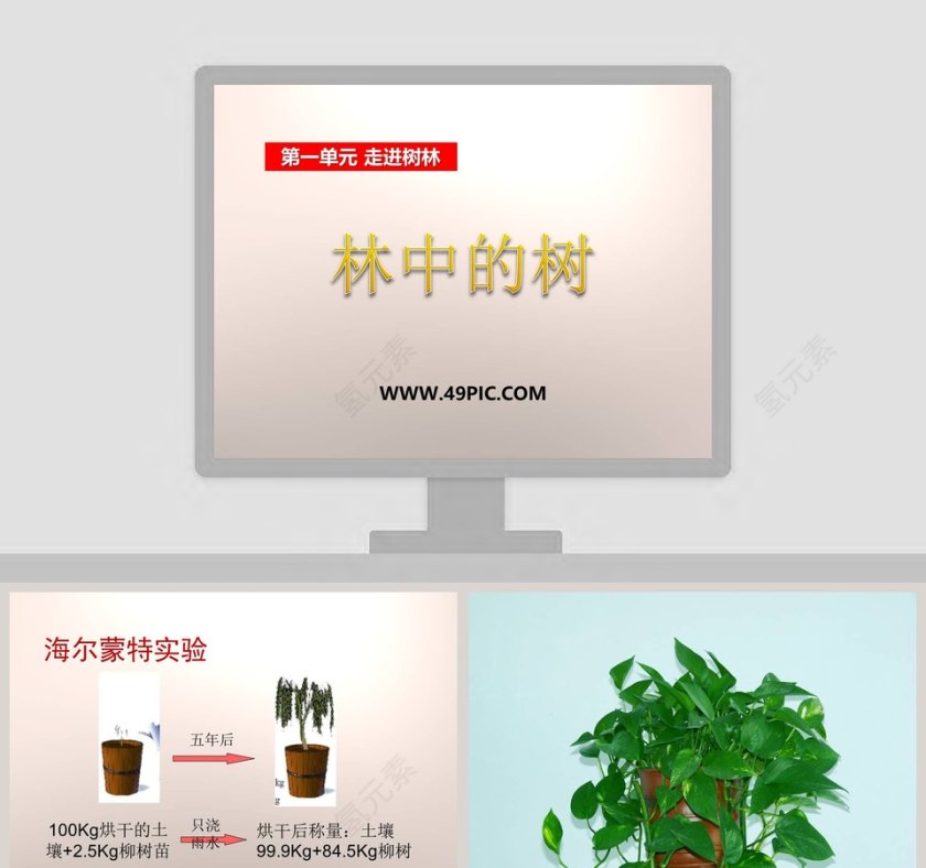 林中的树第一单元 走进树林 PPT模板及党建内容精选第1张