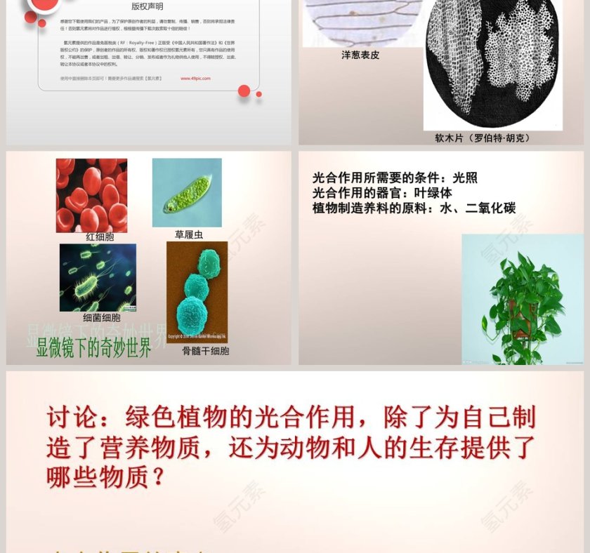 林中的树第一单元 走进树林 PPT模板及党建内容精选第3张