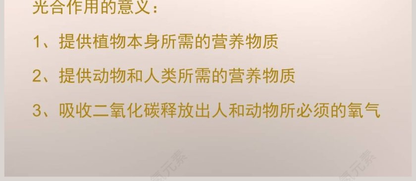 林中的树第一单元 走进树林 PPT模板及党建内容精选第4张