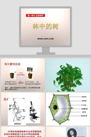 林中的树第一单元 走进树林 PPT模板及党建内容精选