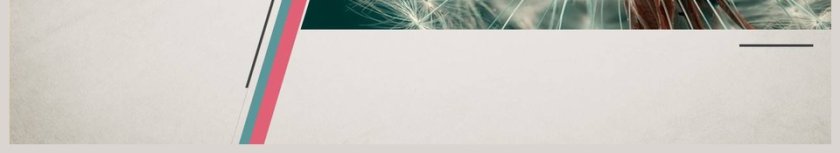 古典情怀工作总结PPT模板第6张