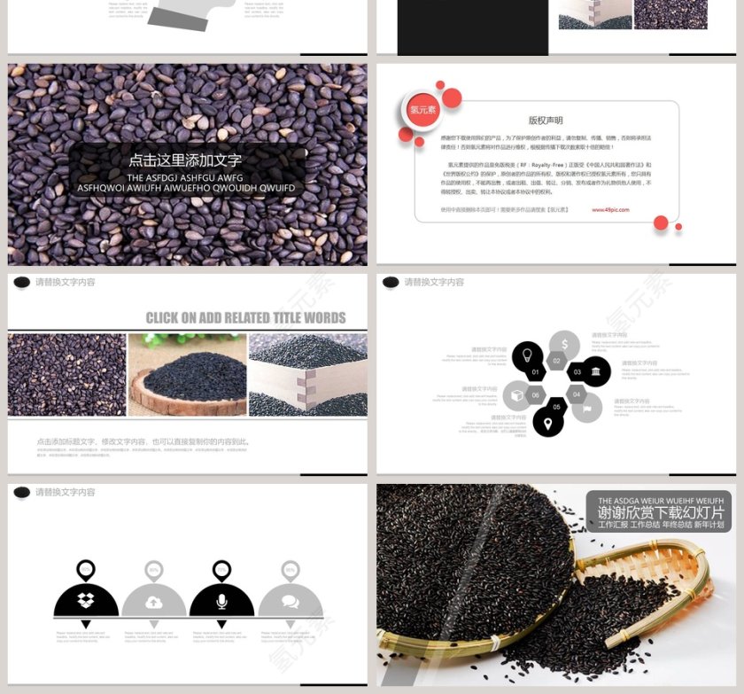 农业黑芝麻产品介绍PPT模板第4张