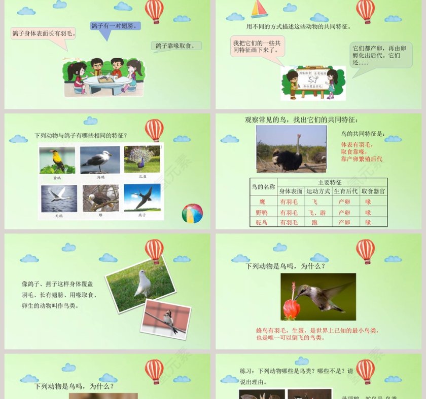鸟类的特征教学ppt课件第2张