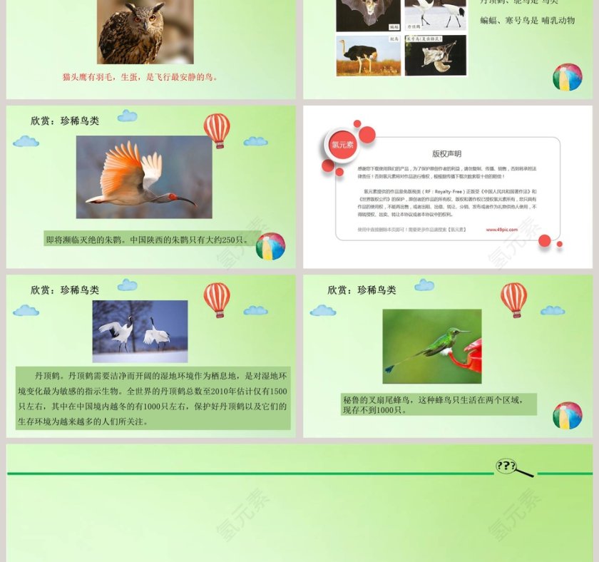 鸟类的特征教学ppt课件第3张