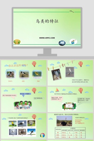 鸟类的特征教学ppt课件
