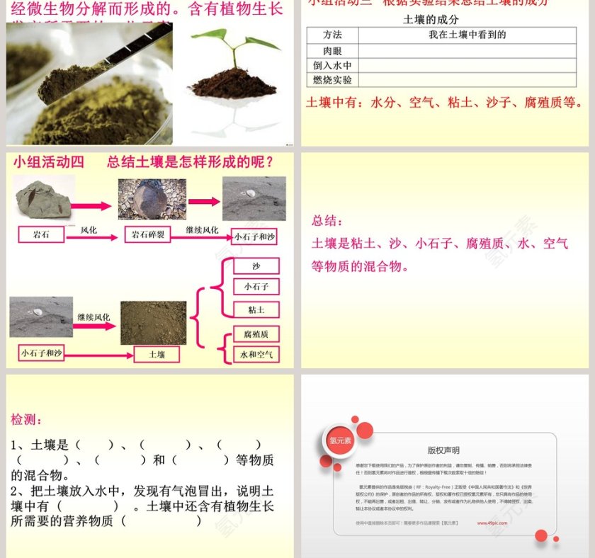 土壤中有什么三 植物生活的土地教学ppt课件第3张