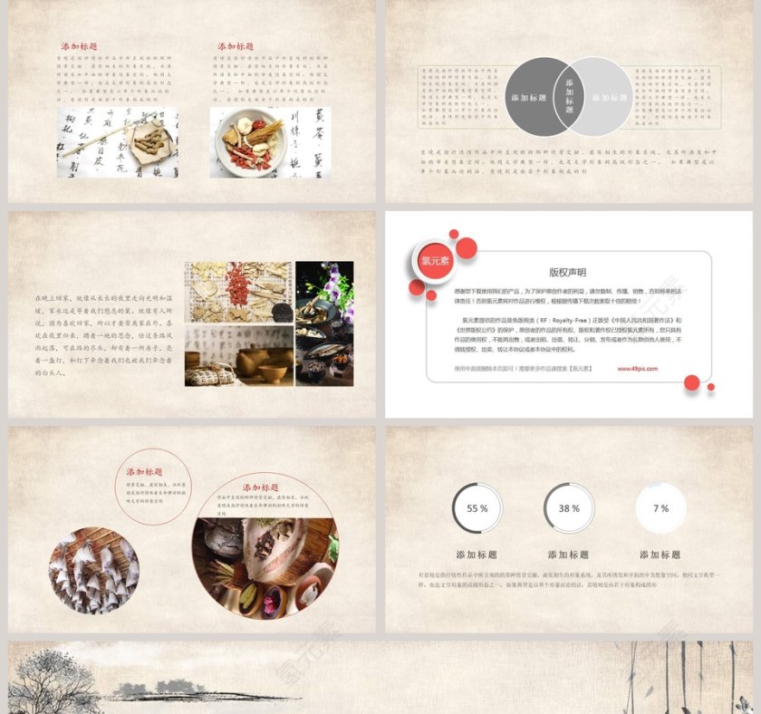 古典中医医药文化养生PPT模板第5张