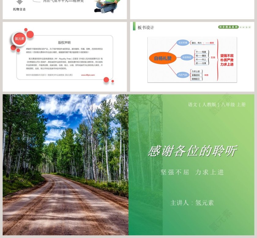 白杨礼赞-语文人教版八年级 上册教学ppt课件第4张