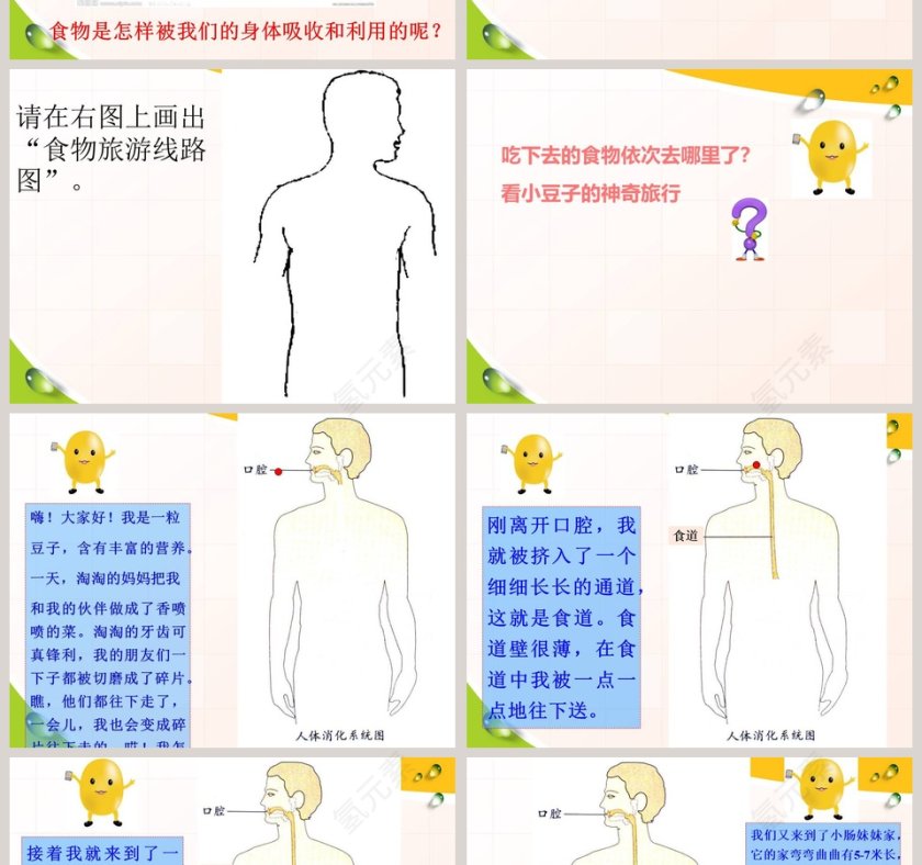 食物在人体内的旅行 - 医学护理行业PPT模板第2张