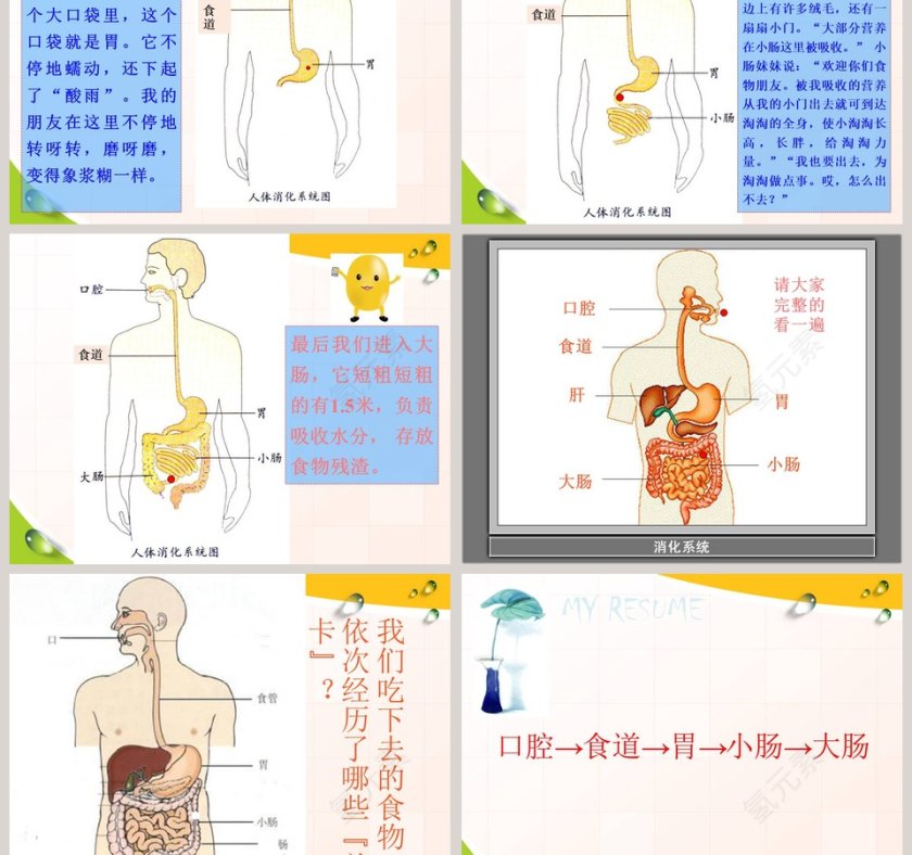 食物在人体内的旅行 - 医学护理行业PPT模板第3张