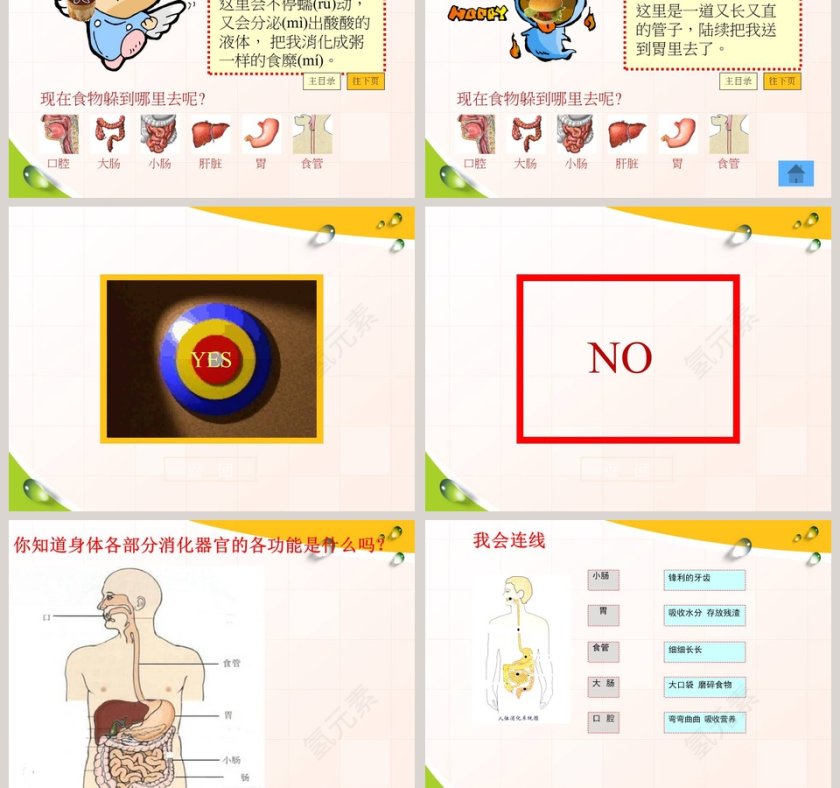 食物在人体内的旅行 - 医学护理行业PPT模板第5张