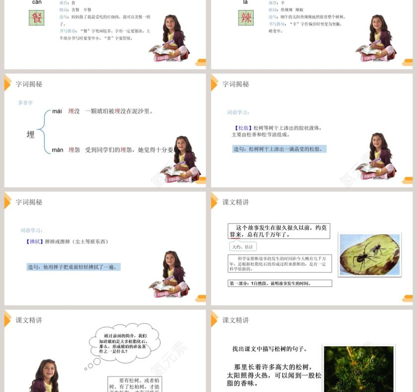 部编版四年级下册语文琥珀PPT课件第3张