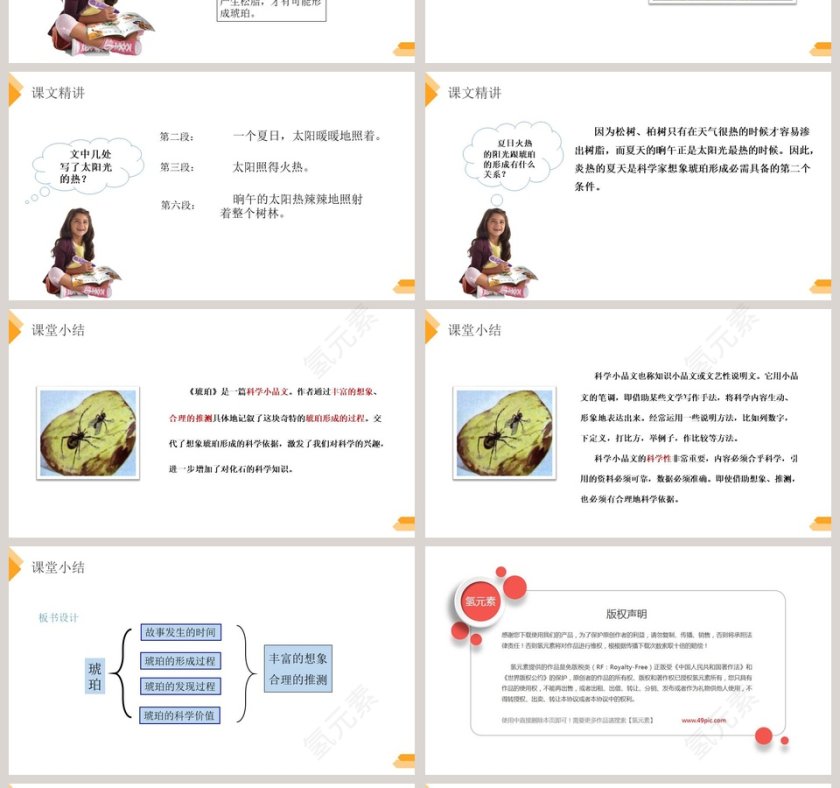 部编版四年级下册语文琥珀PPT课件第4张
