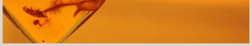 部编版四年级下册语文琥珀PPT课件第6张